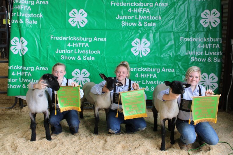 girls with lambs, green backdrop with white clovers